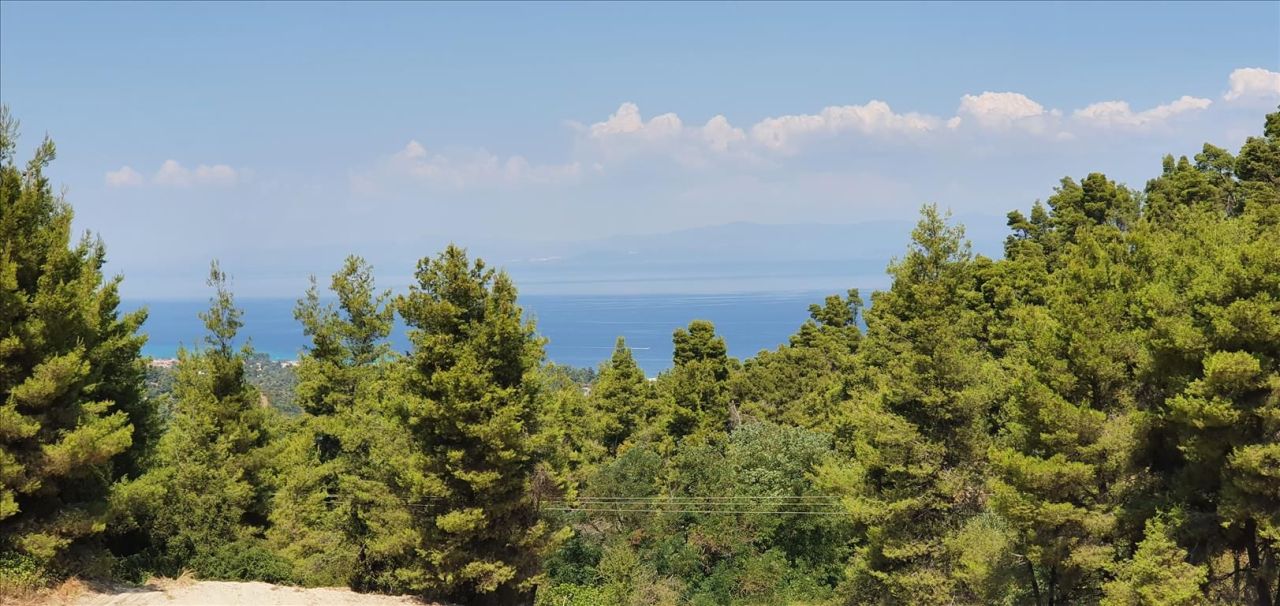 Land in Kassandra, Greece, 16 000 m² - picture 1