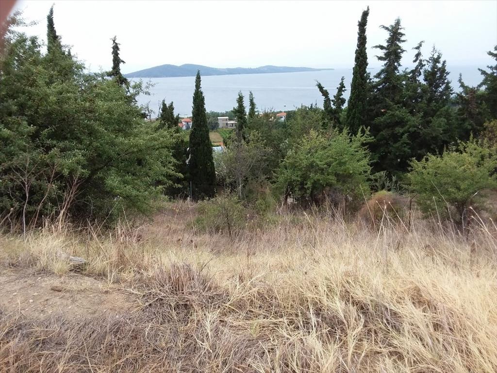 Land in Chalkidiki, Greece, 13 000 m² - picture 1