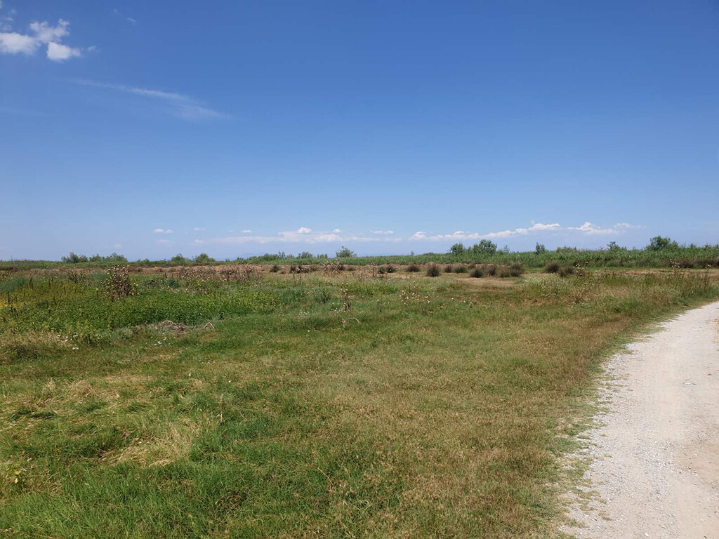 Land in Olympiaki Akti, Greece, 12 955 m² - picture 1
