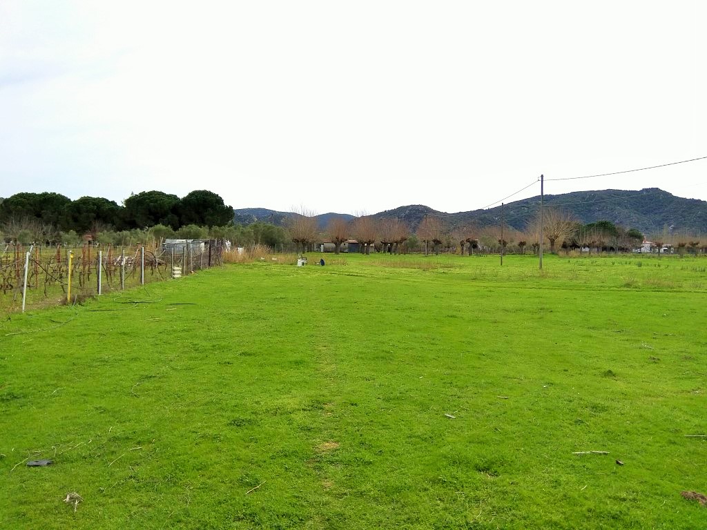Terrain en Sithonie, Grèce, 2 650 m² - image 1