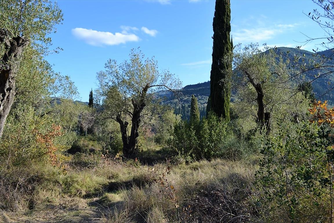 Land in Corfu, Greece, 8 000 m² - picture 1
