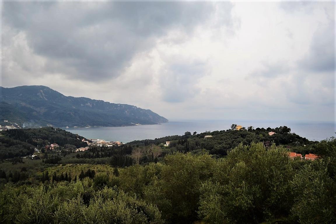 Terrain à Corfou, Grèce, 6 000 m² - image 1