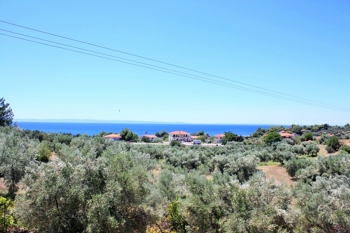 Land in Sithonia, Greece, 4 000 m² - picture 1