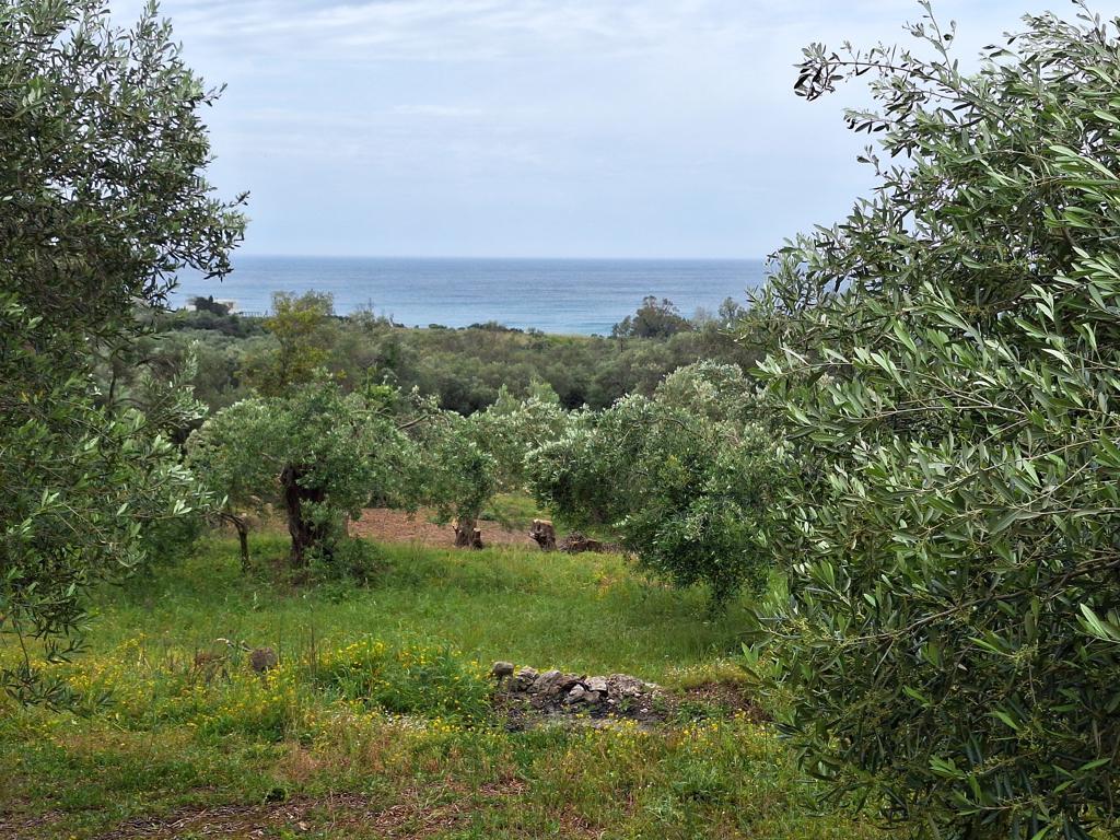 Terrain à Corfou, Grèce, 6 700 m² - image 1