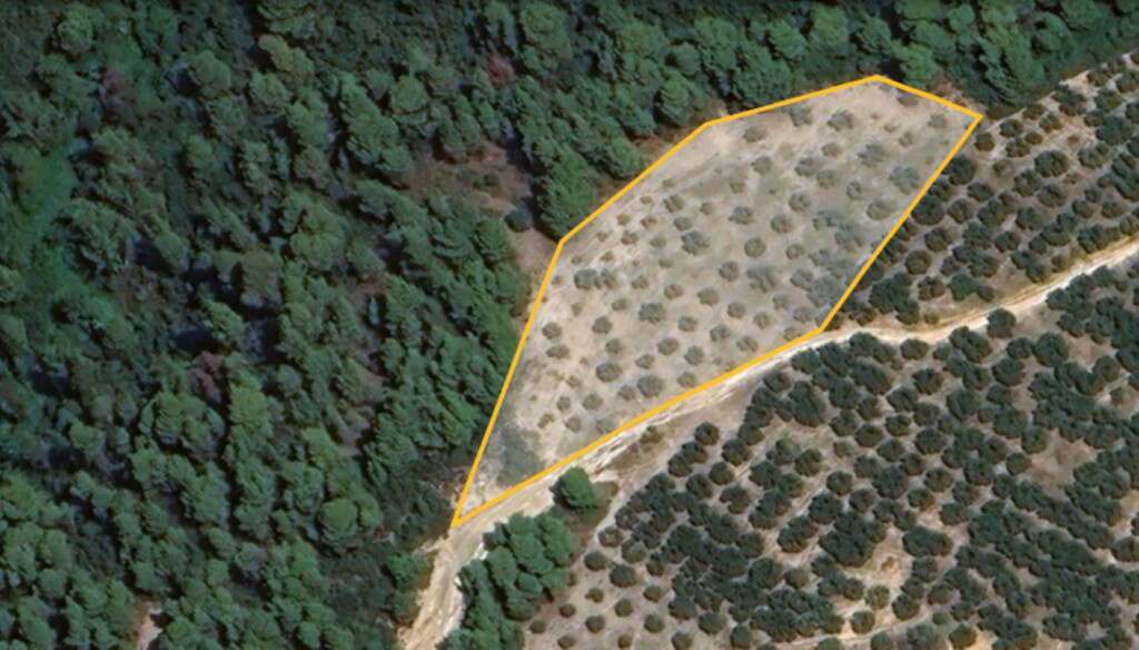 Land in Sithonia, Greece, 5 975 m² - picture 1