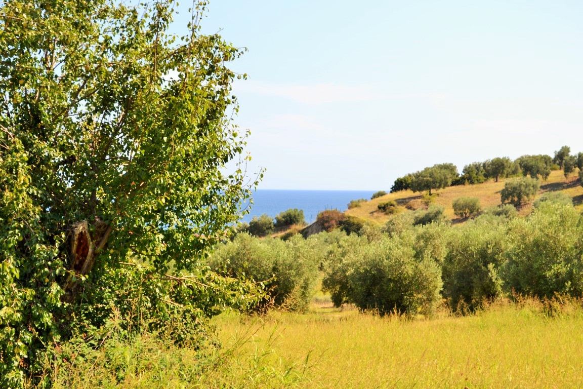 Grundstück in Kassandra, Griechenland, 4 013 m² - Foto 1