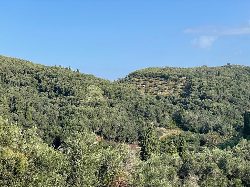 Terrain à Corfou, Grèce, 30 000 m² - image 1