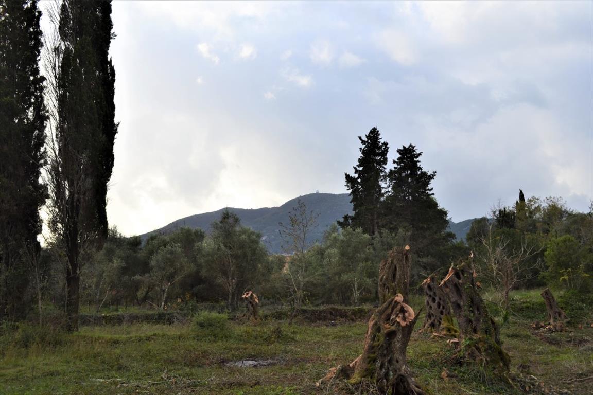 Grundstück in Korfu, Griechenland, 10 000 m² - Foto 1