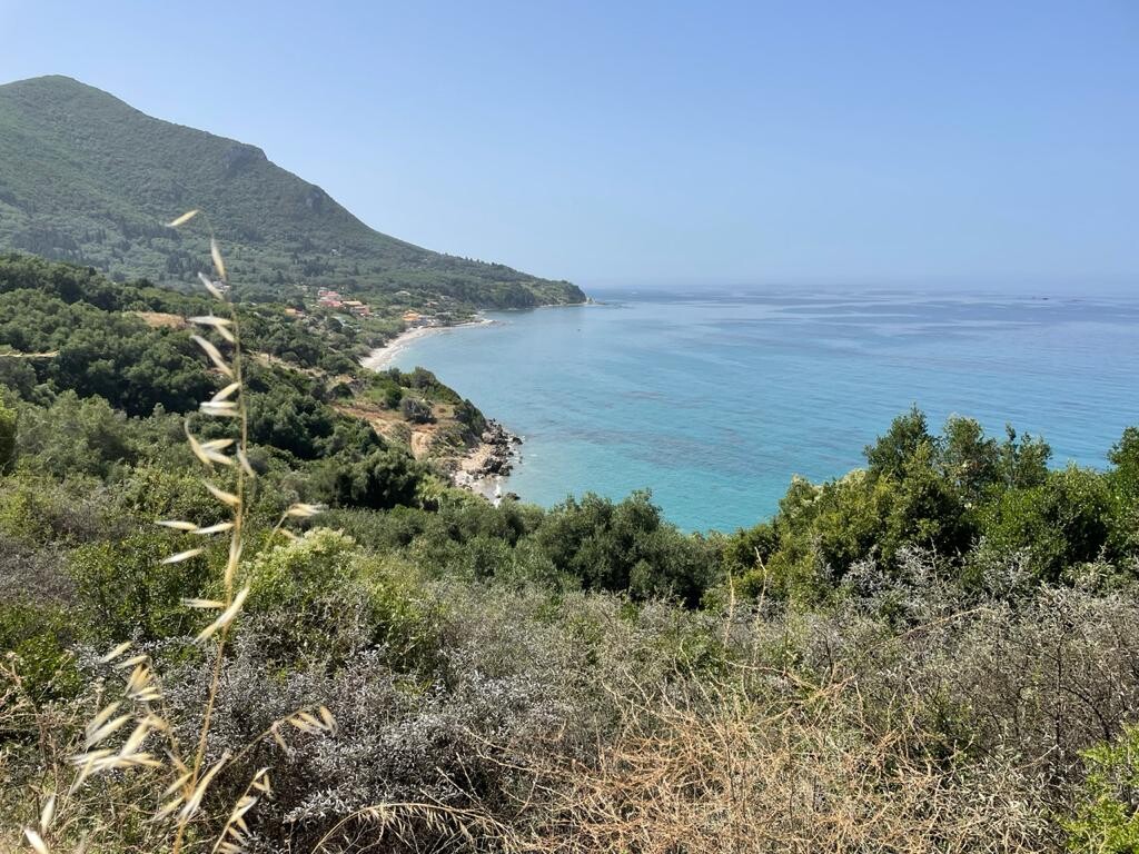 Land in Corfu, Greece, 4 800 m² - picture 1