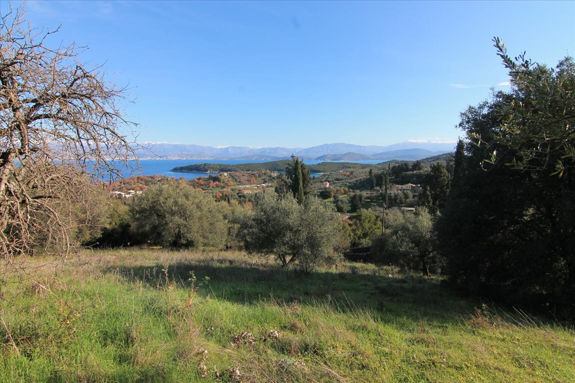 Terrain à Corfou, Grèce, 12 500 m² - image 1