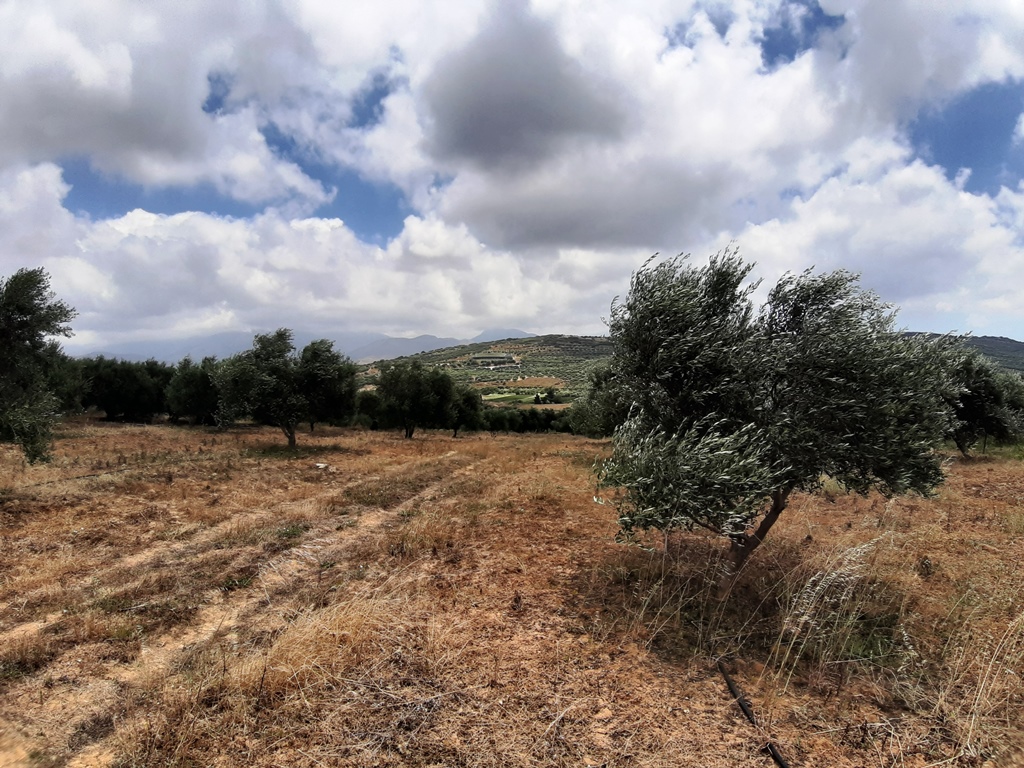Land in Heraklion, Greece, 15 000 m² - picture 1