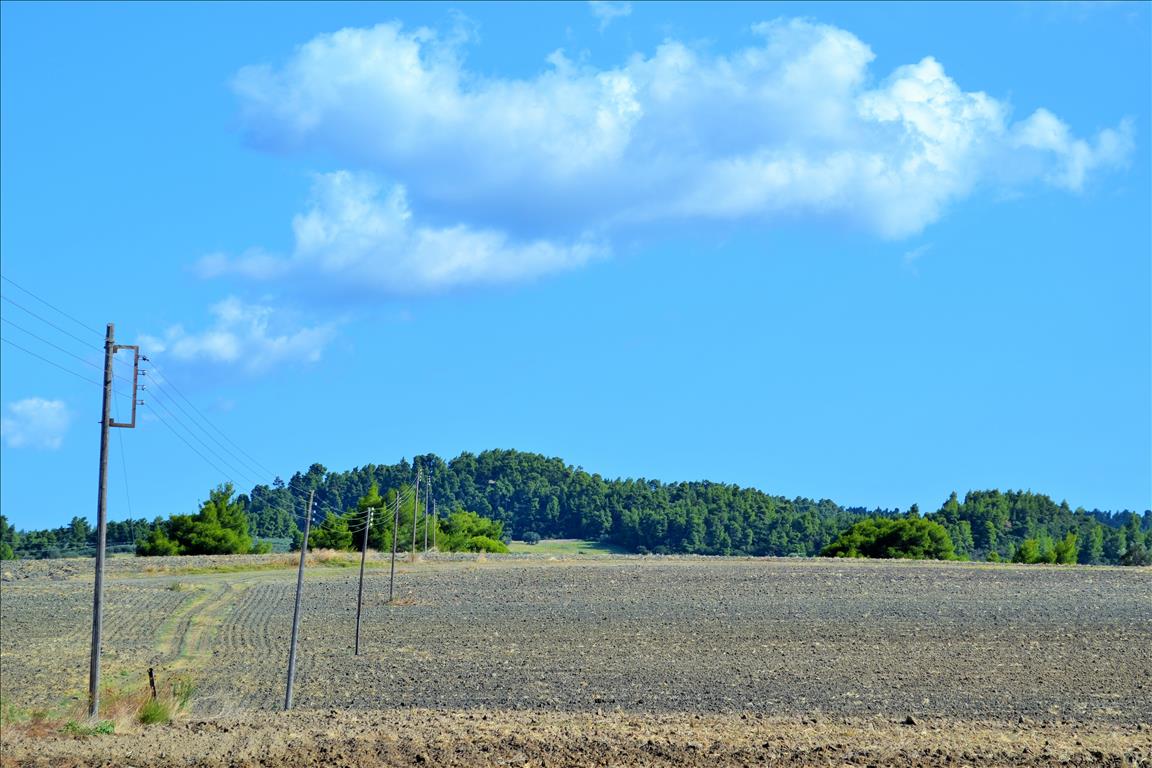 Land in Kassandra, Greece, 13 000 m² - picture 1