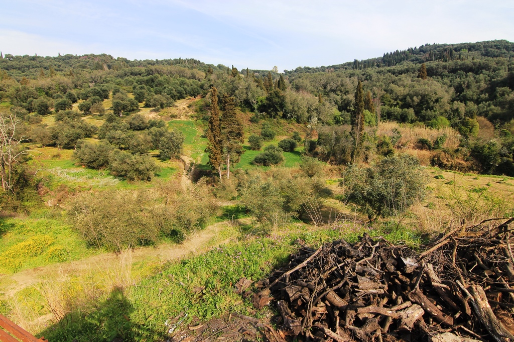 Land in Corfu, Greece, 8 500 m² - picture 1