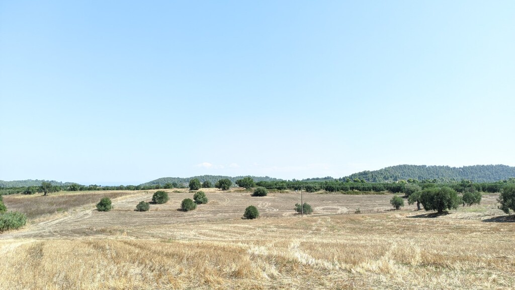 Grundstück in Kassandra, Griechenland, 12 000 m² - Foto 1