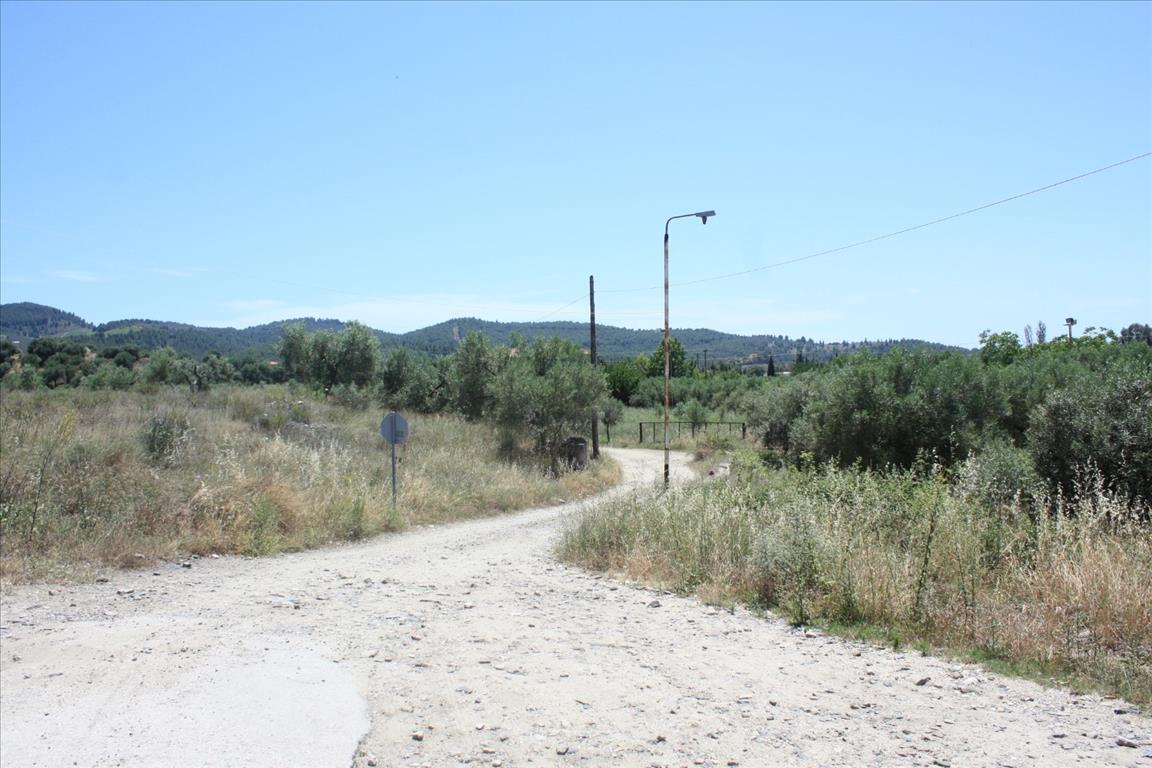 Terrain en Sithonie, Grèce, 3 500 m² - image 1