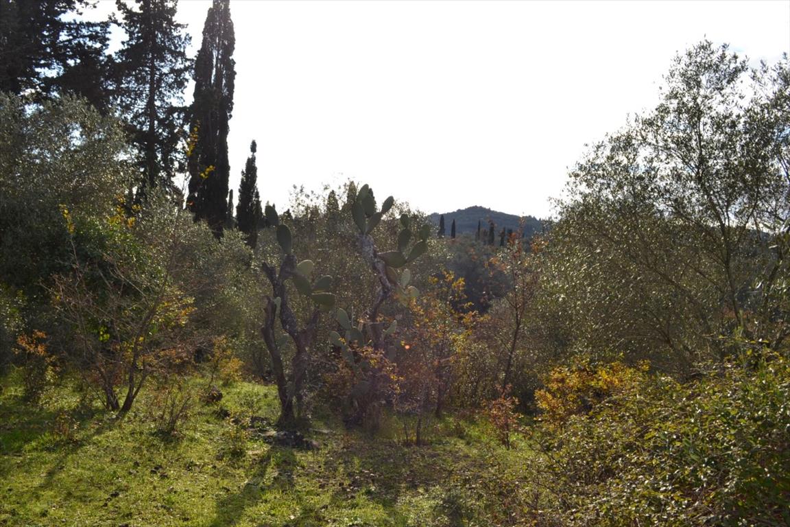 Terreno en Corfú, Grecia, 20 000 m² - imagen 1