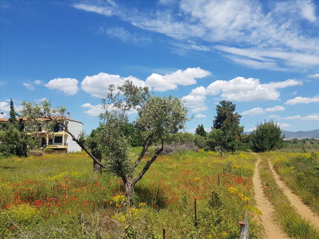 Terreno en Sitonia, Grecia, 449 m² - imagen 1