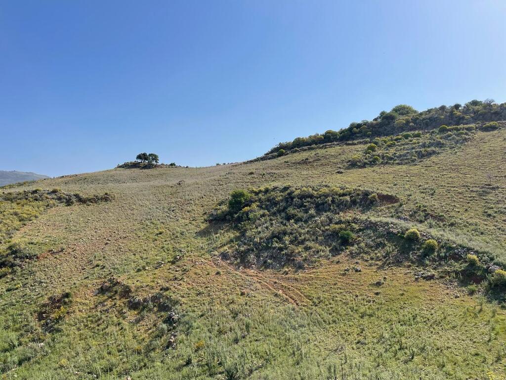 Terrain à Héraklion, Grèce, 25 000 m² - image 1