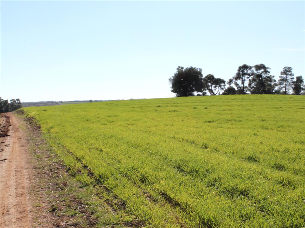 Land in Kassandra, Greece, 103 500 m² - picture 1