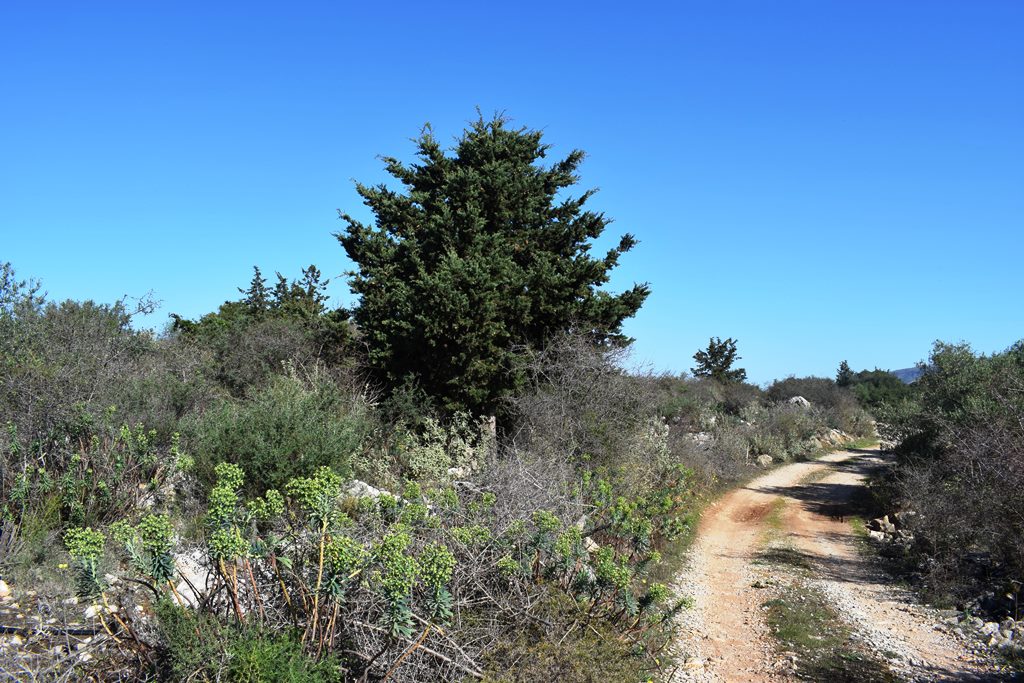 Terrain à Héraklion, Grèce, 13 000 m² - image 1