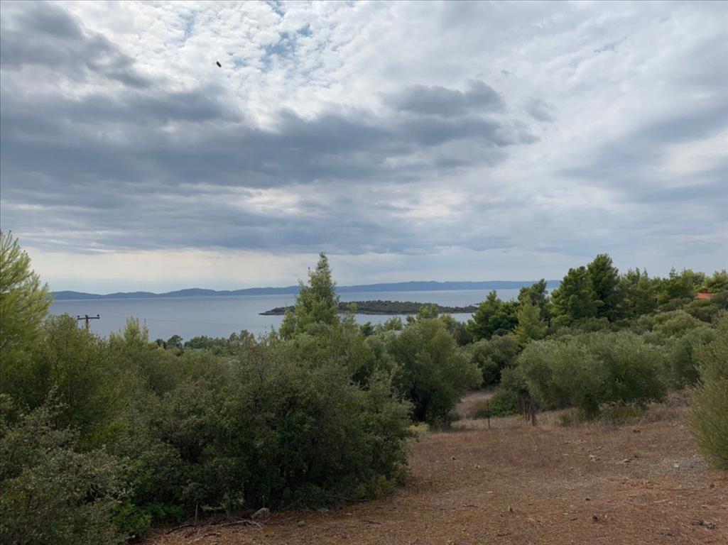 Terreno en Sitonia, Grecia, 12 458 m² - imagen 1