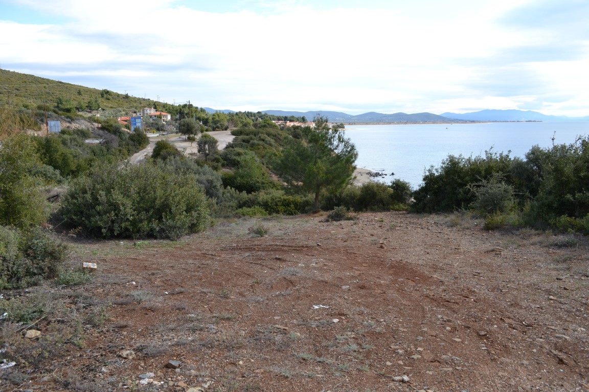 Land in Sithonia, Greece, 4 913 m² - picture 1