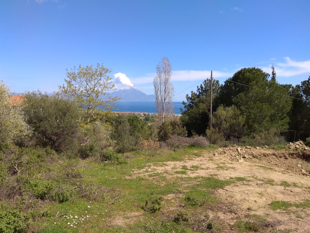 Land in Sithonia, Greece, 10 000 m² - picture 1