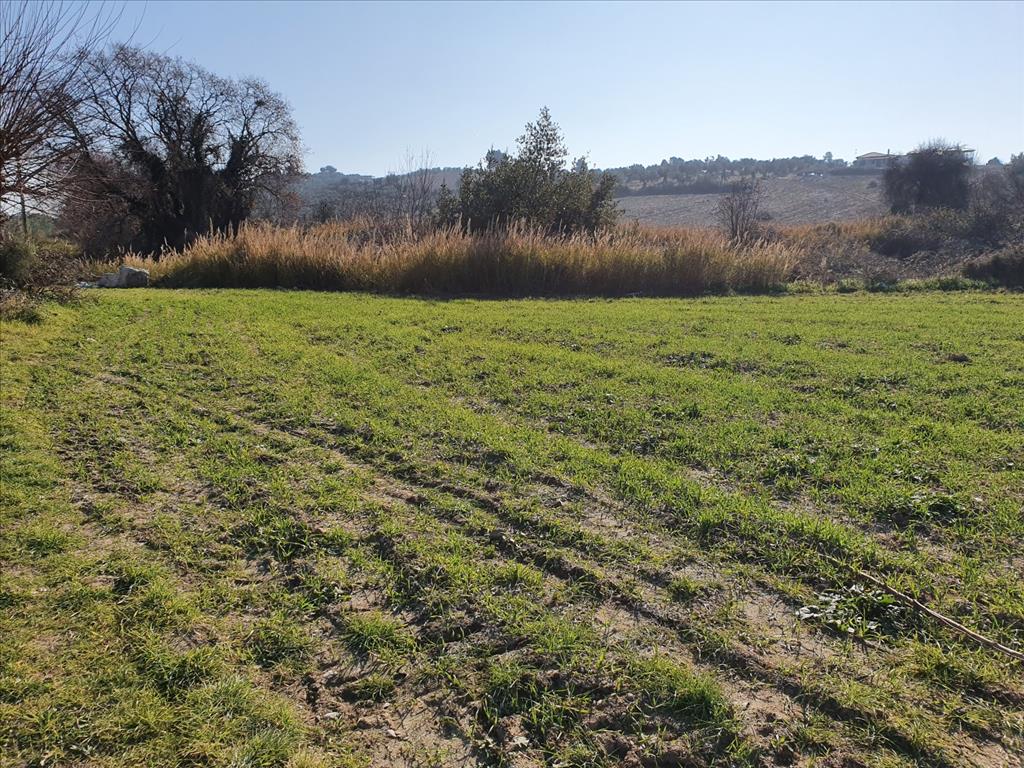 Grundstück in Kassandra, Griechenland, 4 000 m² - Foto 1