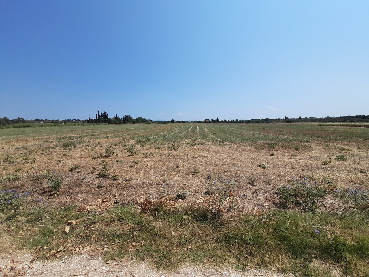 Grundstück in Thessaloniki, Griechenland, 11 100 m² - Foto 1