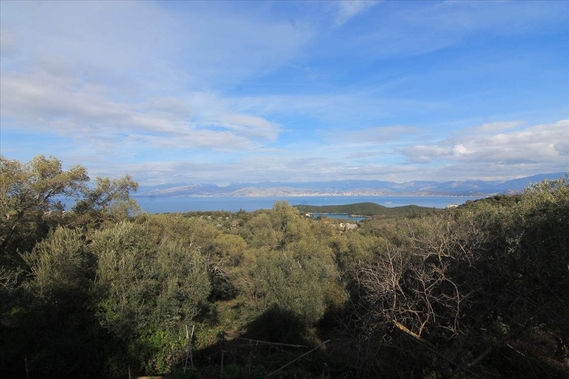 Land in Corfu, Greece, 11 000 m² - picture 1