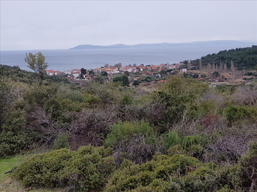 Land in Sithonia, Greece, 12 500 m² - picture 1