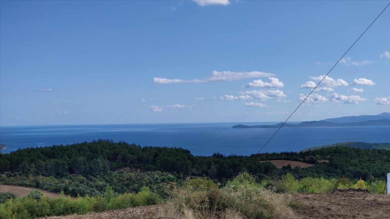 Land in Chalkidiki, Greece, 50 000 m² - picture 1