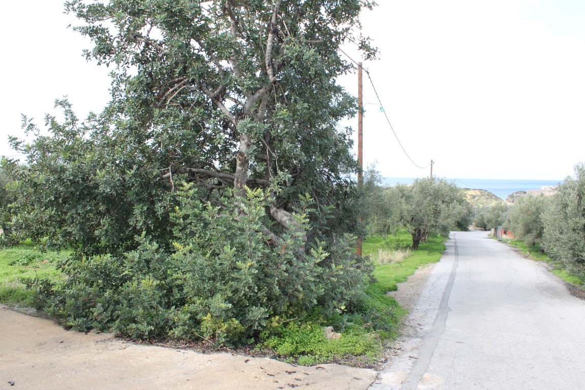 Terrain à Héraklion, Grèce, 2 456 m² - image 1