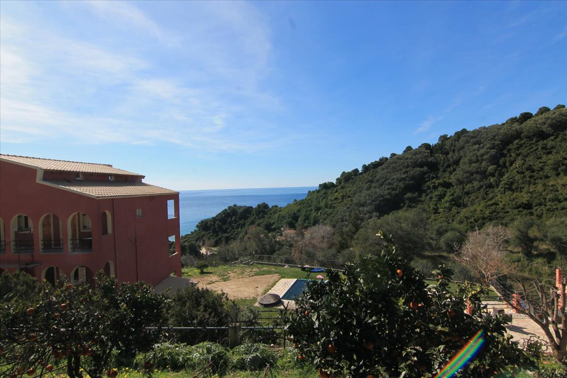 Land in Corfu, Greece, 6 000 m² - picture 1