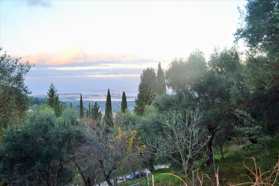 Land in Corfu, Greece, 4 000 m² - picture 1