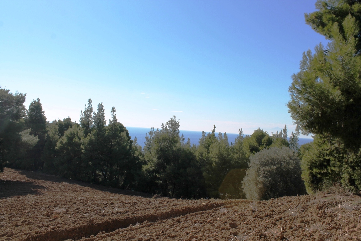 Terreno en Kassandra, Grecia, 9 500 m² - imagen 1