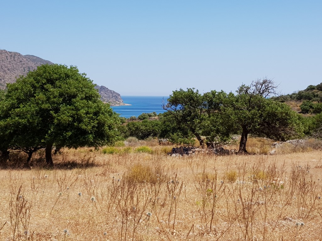 Grundstück in Heraklion, Griechenland, 8 000 m² - Foto 1