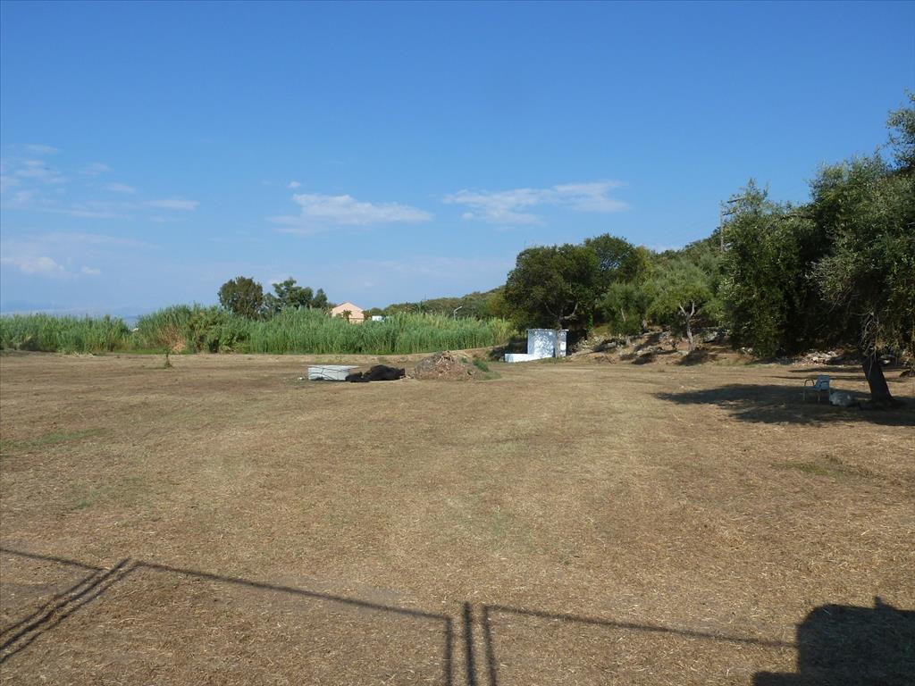 Land in Corfu, Greece, 8 866 m² - picture 1