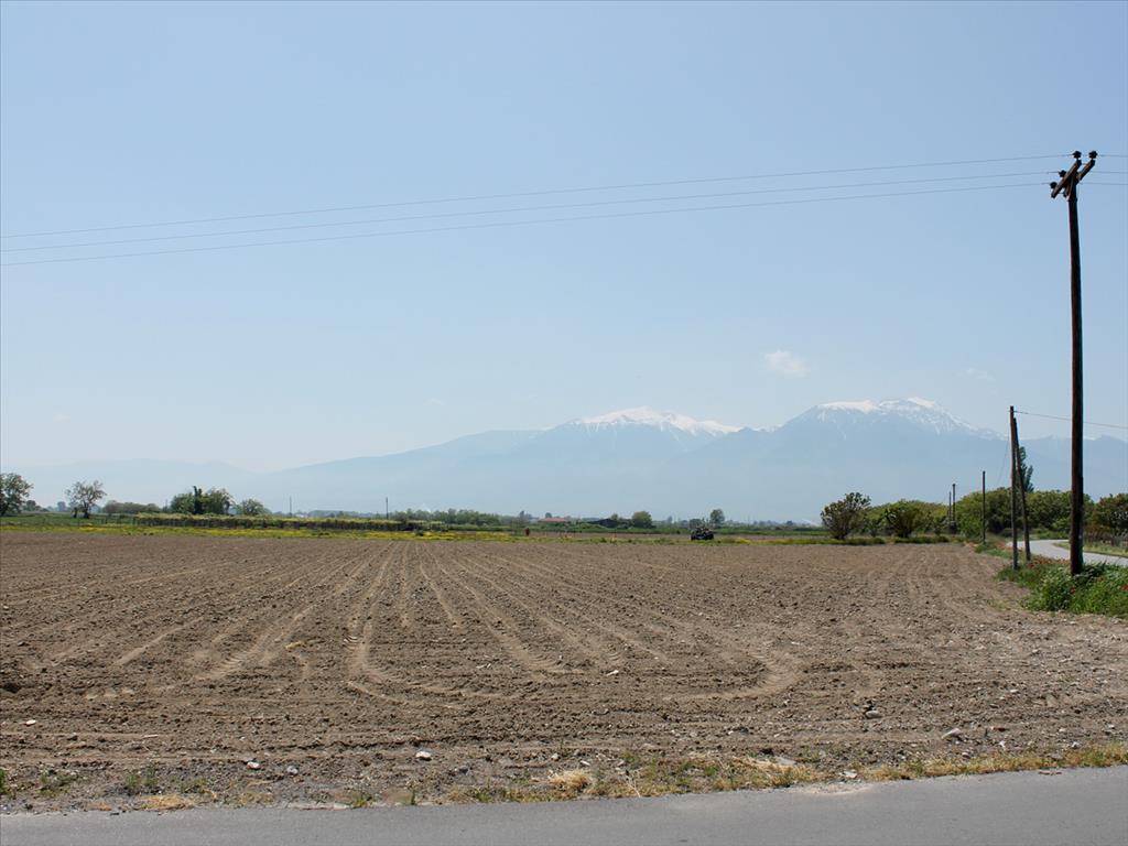 Terrain à Olympiaki Akti, Grèce, 12 000 m² - image 1