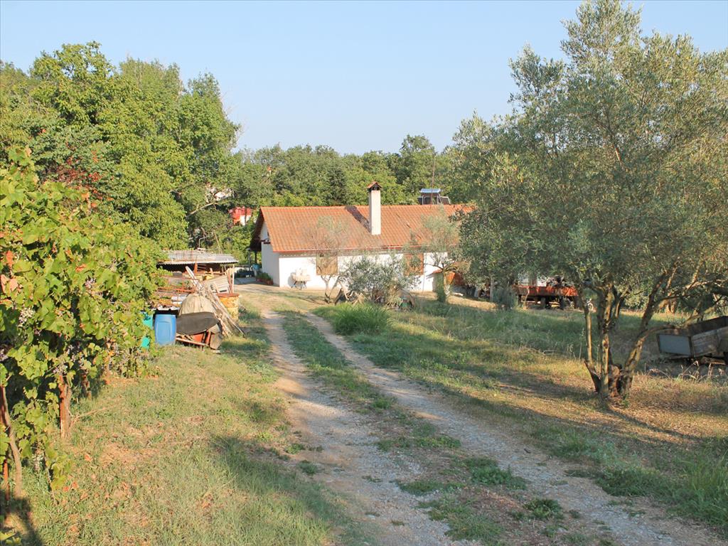 Casa en Olympiaki Akti, Grecia, 70 m² - imagen 1