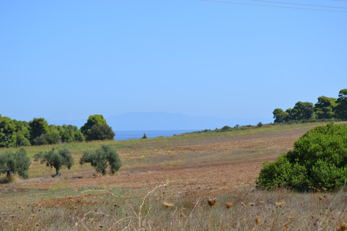 Land in Kassandra, Greece, 4 380 m² - picture 1