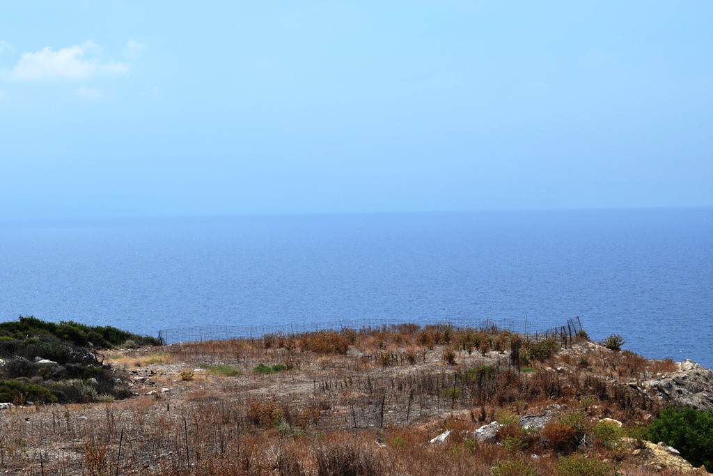 Terrain à Héraklion, Grèce, 15 000 m² - image 1