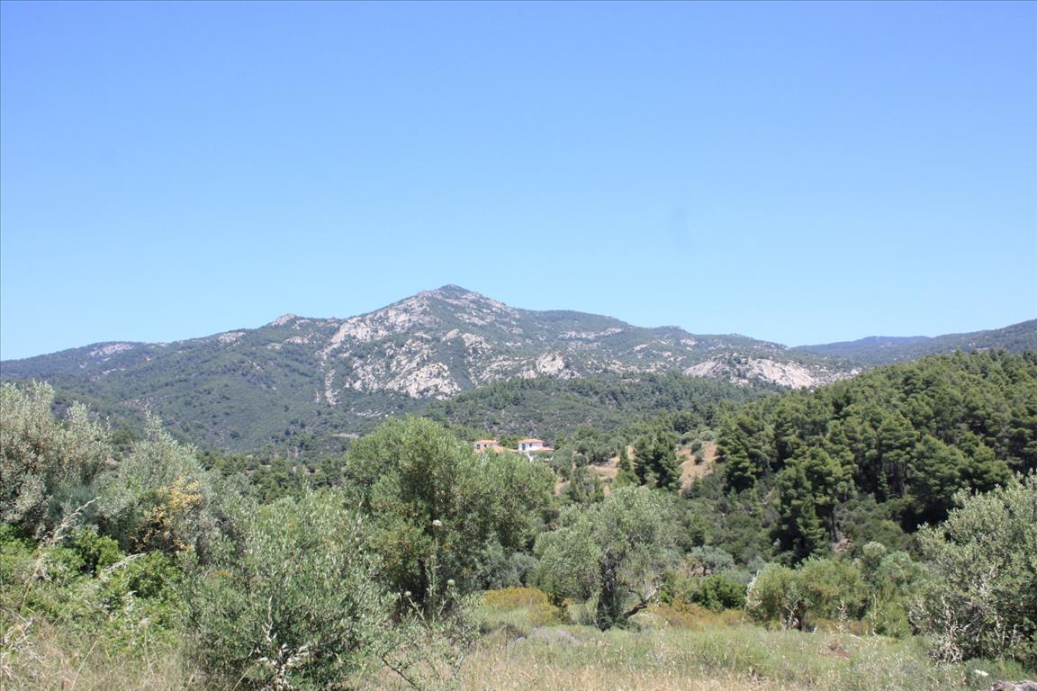 Terrain en Sithonie, Grèce, 4 990 m² - image 1