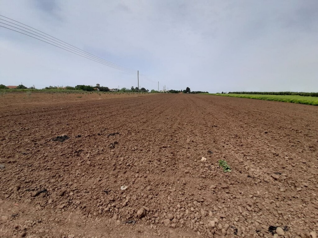 Land in Chalkidiki, Greece, 8 628 m² - picture 1