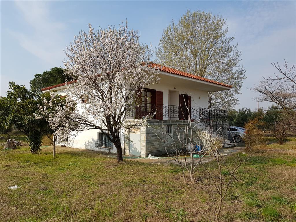 House in Sithonia, Greece, 190 m² - picture 1