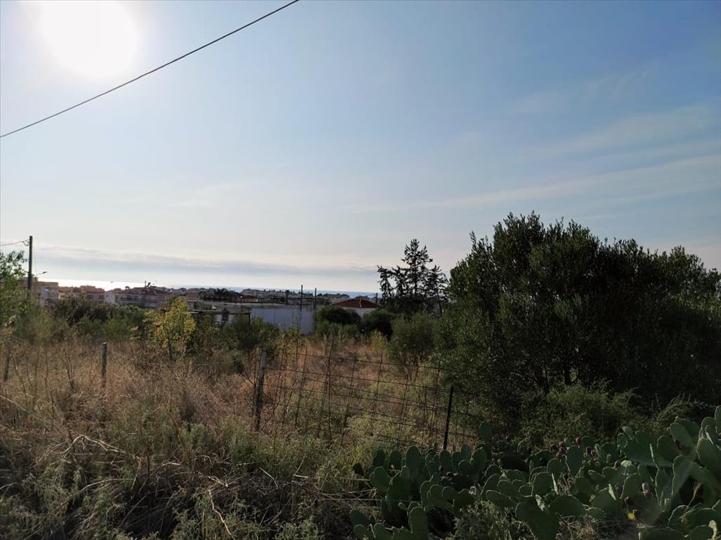 Terrain en Chalcidique, Grèce, 3 685 m² - image 1