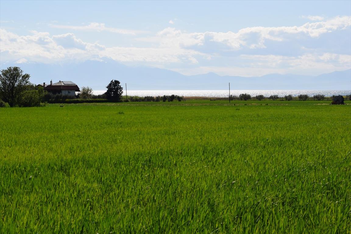 Terrain à Thessalonique, Grèce, 27 000 m² - image 1