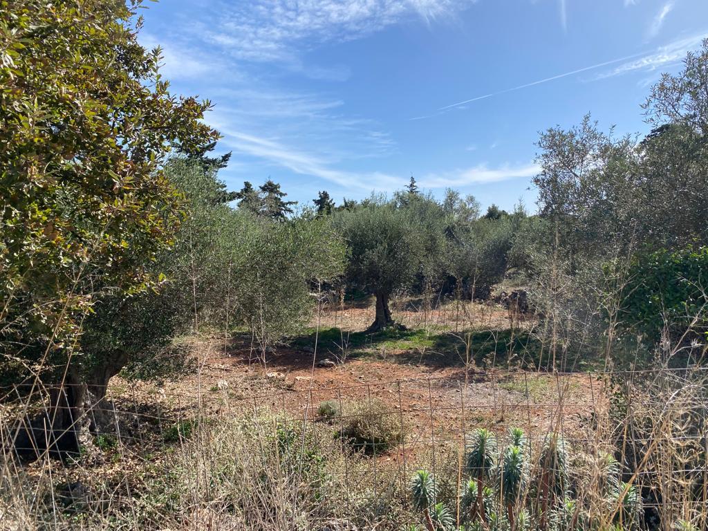 Terreno en Heraclión, Grecia, 5 687 m² - imagen 1