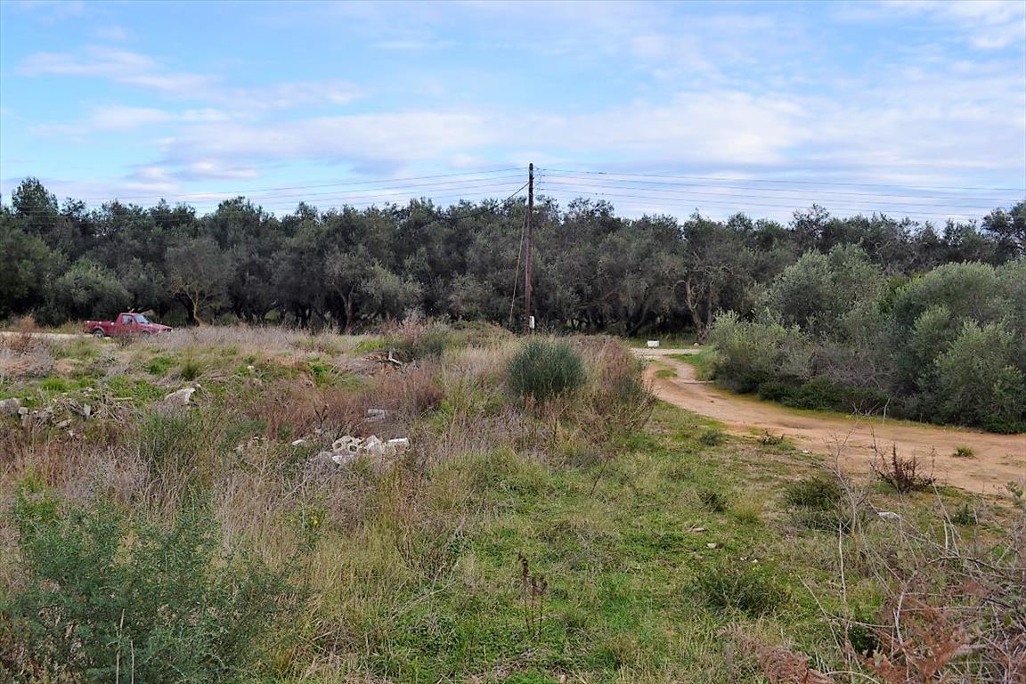 Terrain à Corfou, Grèce, 5 500 m² - image 1