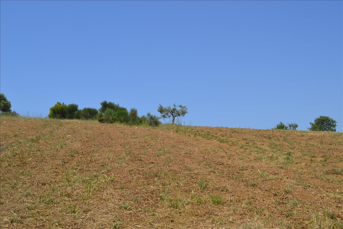 Grundstück in Kassandra, Griechenland, 4 650 m² - Foto 2